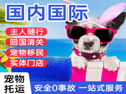 合肥航空运输国际宠物托运 【国
